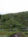 IMG_0985
