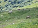 IMG_1052
