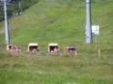 IMG_1112