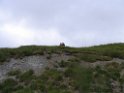 IMG_1171